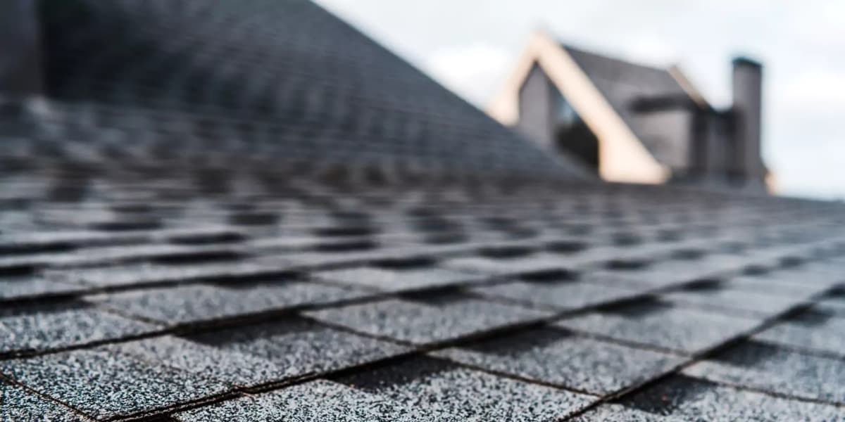 Shingle Roofs
