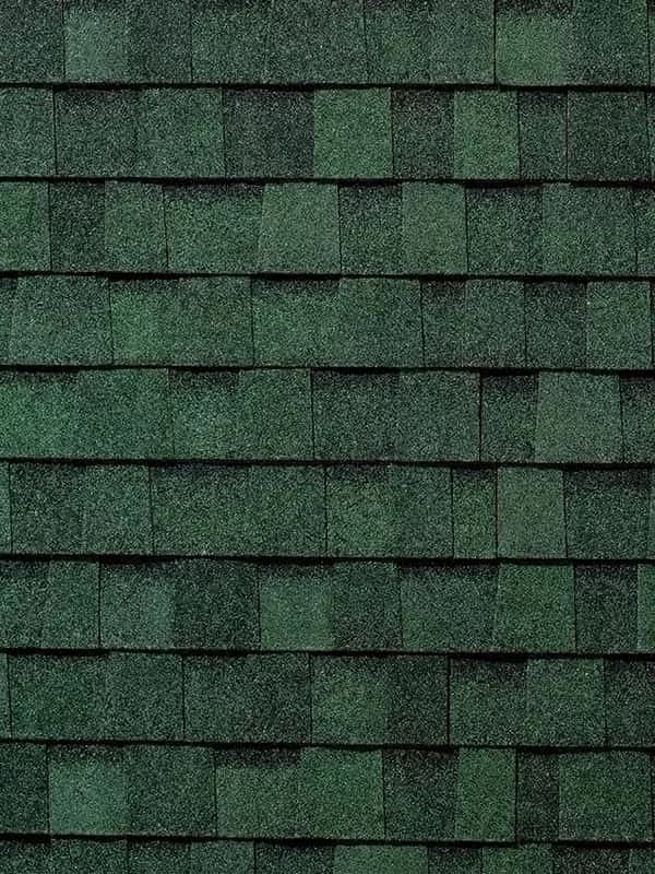 Rustic Evergreen shingle thumbnail