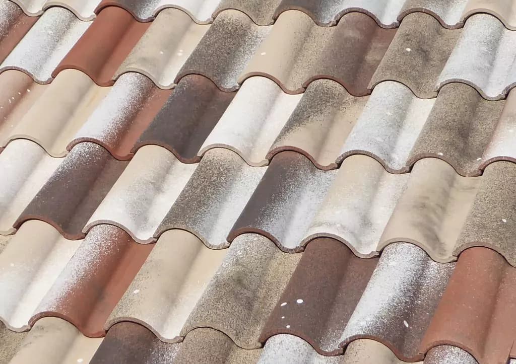 Detailed close-up of Tejas Borja ceramic roof tiles