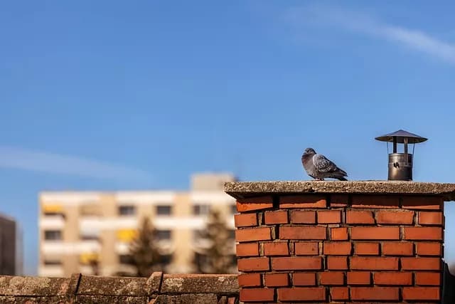 Damaged chimney with extensive structural issues requiring complete rebuilding